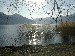 Foto: Ortelli Roberto